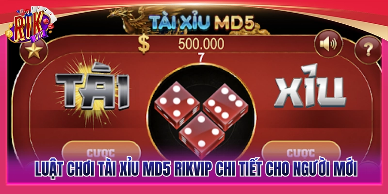 Tài Xỉu MD5 Rikvip – Trải Nghiệm Bàn Cược Minh Bạch Tuyệt Đối 3 Quy định cược tài xỉu MD5 Rikvip đầy đủ từ A-Z