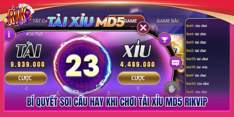 Tài Xỉu MD5 Rikvip – Trải Nghiệm Bàn Cược Minh Bạch Tuyệt Đối 4 Kinh nghiệm nhận diện nhịp cầu tài xỉu MD5 Rikvip cực hay
