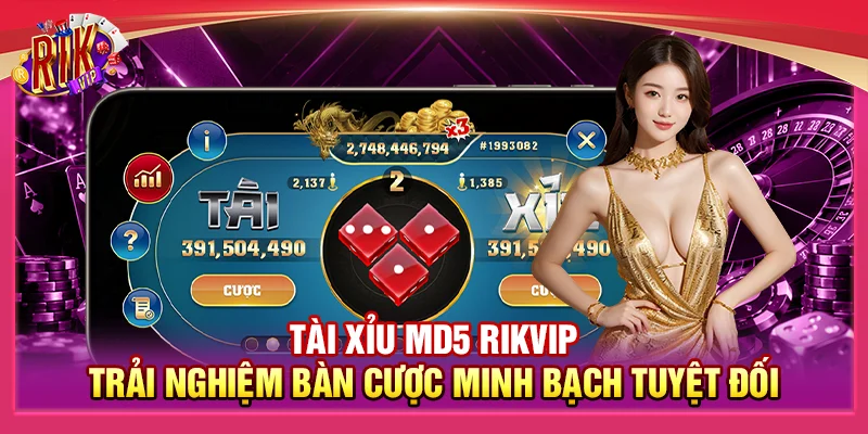 Tài Xỉu MD5 Rikvip – Trải Nghiệm Bàn Cược Minh Bạch Tuyệt Đối 1 Tài Xỉu MD5 Rikvip – Trải Nghiệm Bàn Cược Minh Bạch Tuyệt Đối